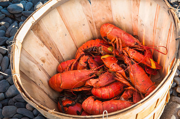 Basket of cooked lobsters on a beach stock photo