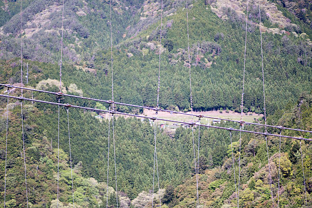 istock Japan's best Tanize suspension bridge,nara,japan 591399548