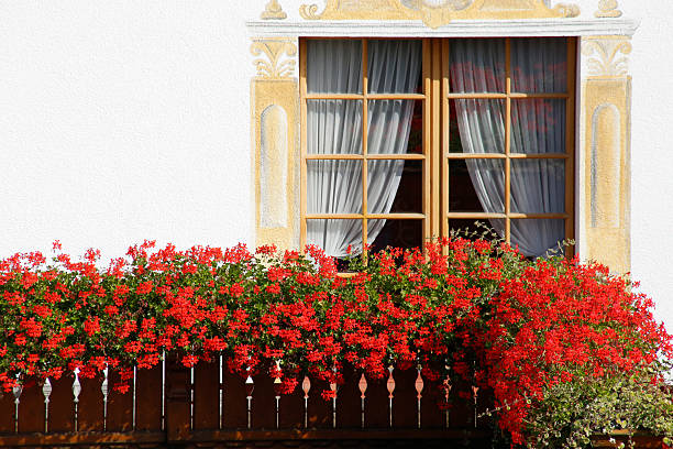 The wooden balcony of an old farm mountain house with colorfull flowers in the Dolomites, Italy, close up