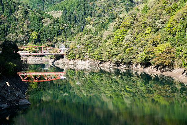 istock Verdure mountain,nara,japan 591401084