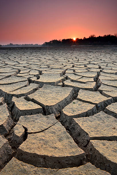 istock dry cracks in the land 591402148