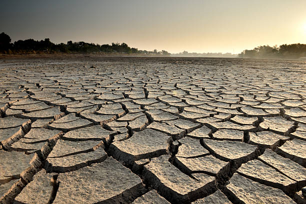 istock dry cracks in the land 591402450