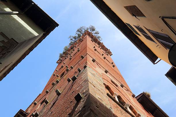 istock Guinigi Tower in Lucca 591405634
