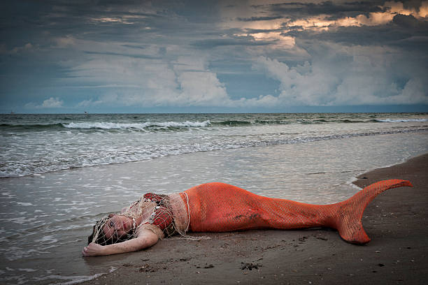 Exhausted mermaid in orange tail trapped in netting is washed up on shore at the Atlantic Ocean, St. Augustine, FL, USA