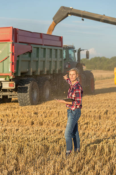 istock female farmer and combine harvester 591408354
