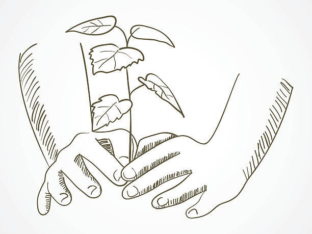 Ilustración de Arte Lineal De Manos Plantando El Árbol y más Vectores Libres de Derechos de Plantar - Plantar, Árbol, Croquis - iStock Ilustración de Arte Lineal De Manos Plantando El Árbol y más Vectores Libres de Derechos de Plantar - Plantar, Árbol, Croquis - iStock