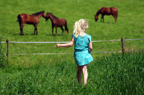 istock Running to the horses 591410422