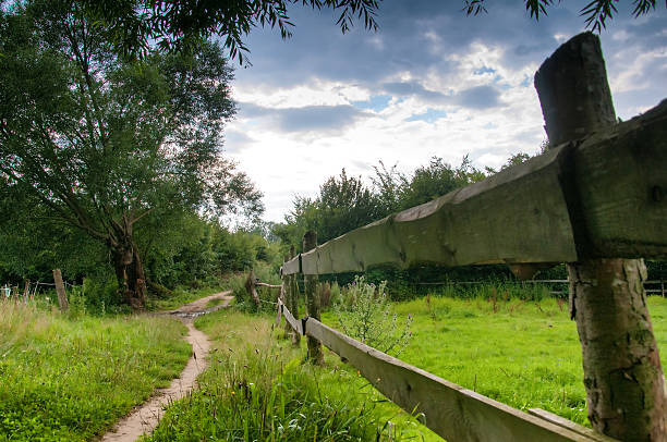 istock Wooden fence on meadow 591411934