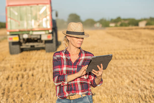 istock female farmer standing in wheat field 591412544