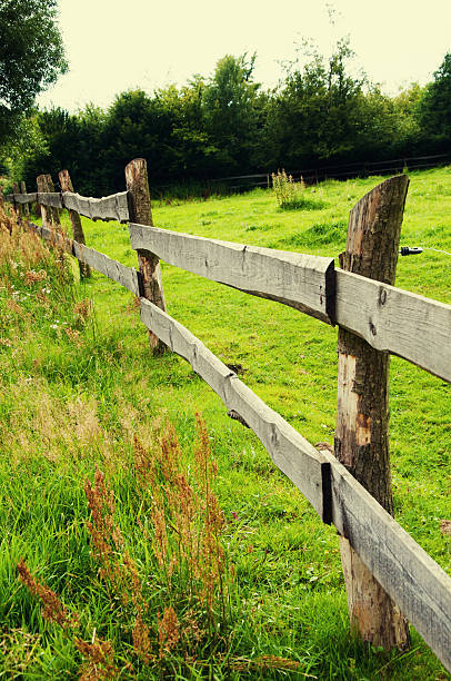 istock Wooden fence on meadow 591412682