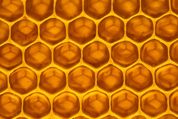 istock honey in honeycomb closeup macro 591413086