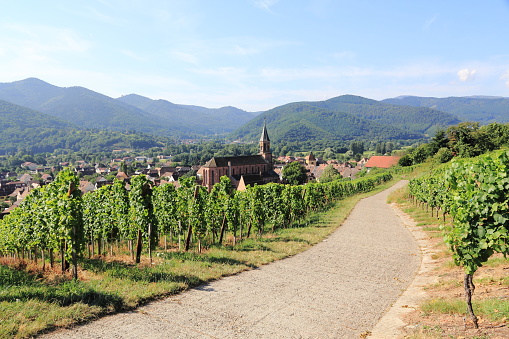 The wine village of Wihr-au-Val in the Munster valley