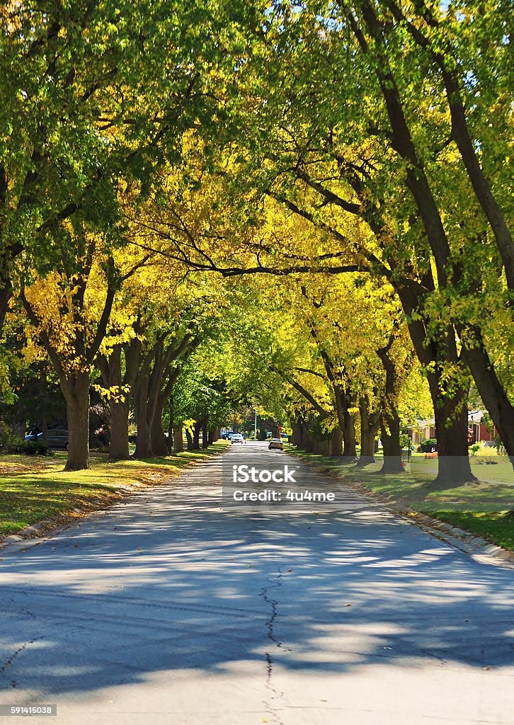 Autumn street. Rows of autumn trees along the street. Pleasant shade on the street surface. Suburb Stock Photo