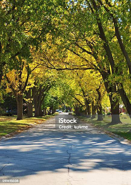 Autumn Street Stock Photo - Download Image Now - Suburb, Street, Residential District
