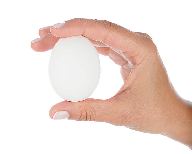 istock White Egg in between Woman Fingers 591415488