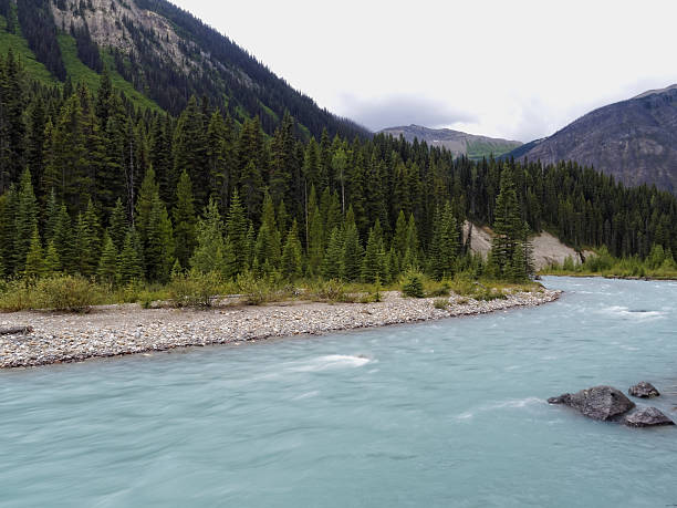 istock Turquoise Flowing River in the Canadian Rockies 591416230