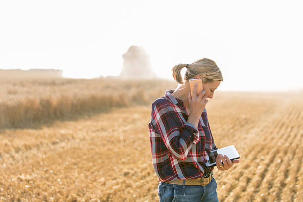 moderna contadina con tavoletta sul suo campo di grano - mature women foto e immagini stock