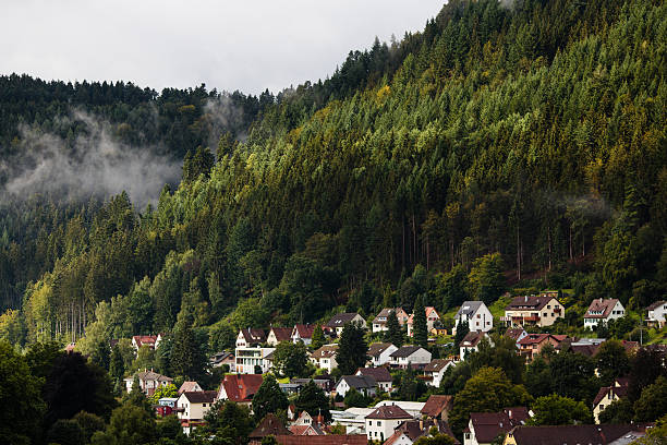 A cloudy day in German Schwarzwald