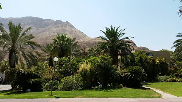 istock oasi of ein gedi ,israel 591418730