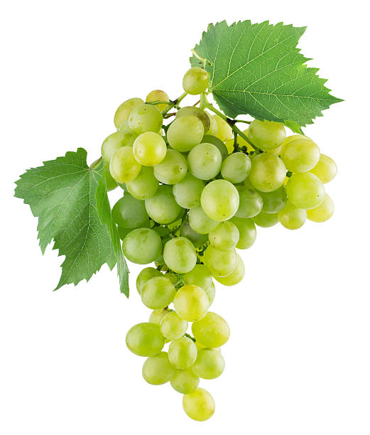 istock green grapes on the white background 591424254