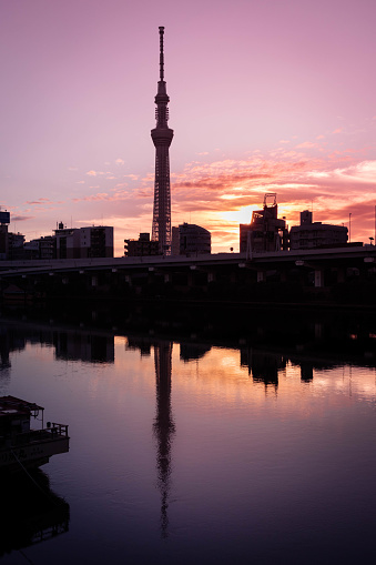 The Sky Tree with sunrise. The Sky Tree is the tallest tower all over the world.