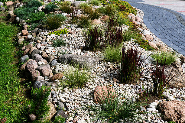 Natural landscaping in home garden