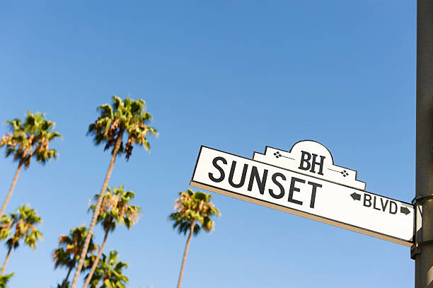 placa da rua sunset boulevard - southern california palm tree beverly hills california california - fotografias e filmes do acervo