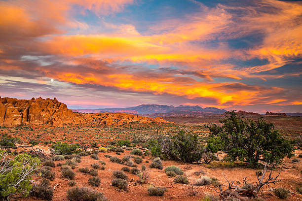 istock Arches National Park, Utah. 591426912