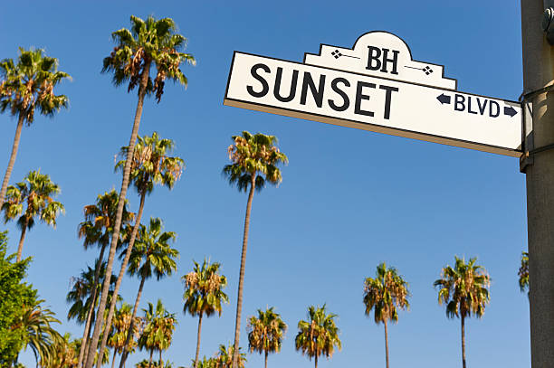 istock Sunset Boulevard street sign 591426954