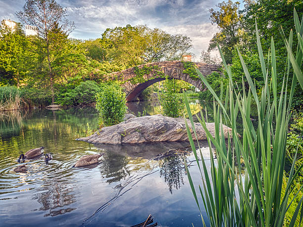 istock Gapstow bridge Central Park, New York City 591429330