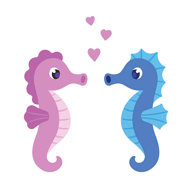 ilustraciones, imágenes clip art, dibujos animados e iconos de stock de linda pareja de caballitos de mar de dibujos animados - sea horse