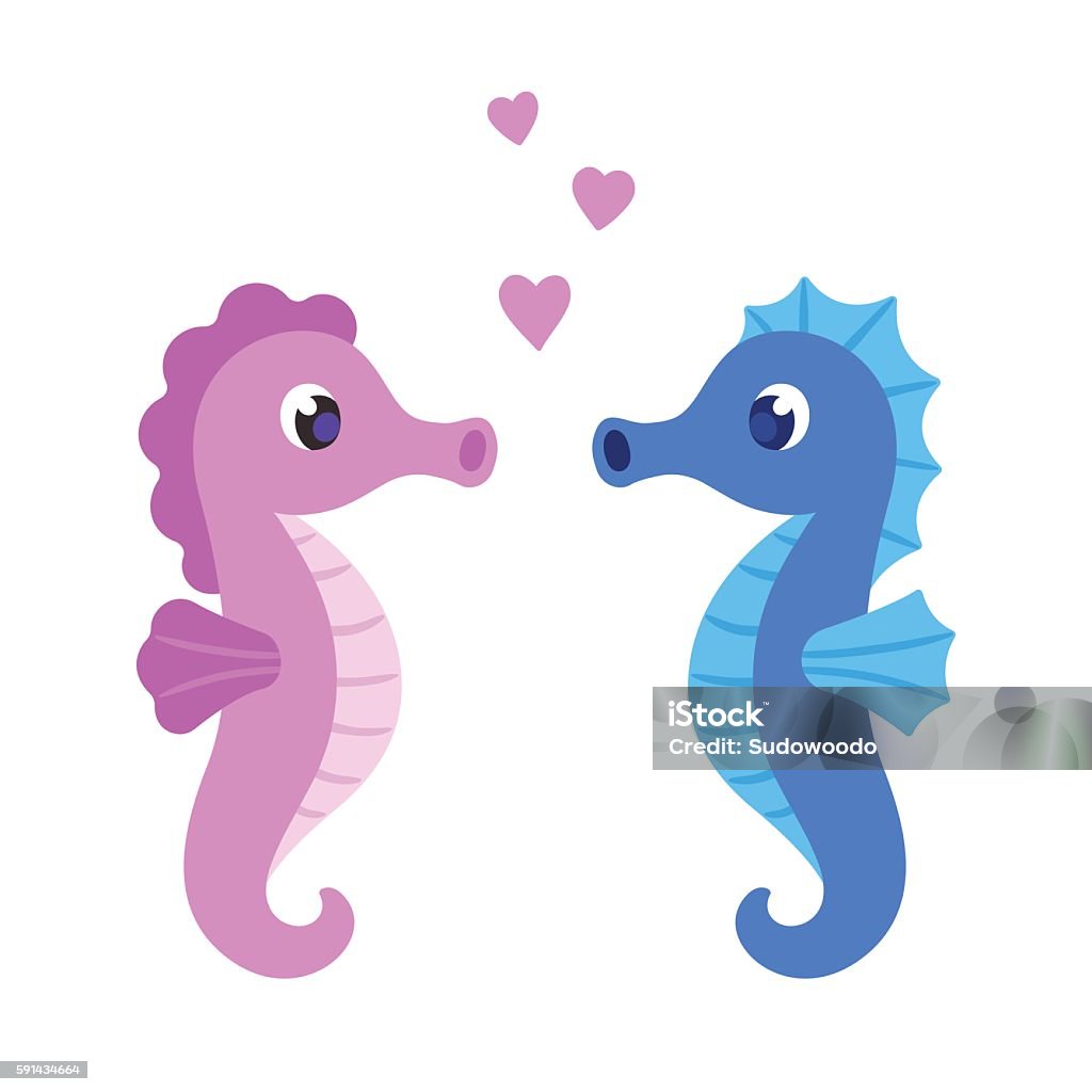Cute Cartoon Seahorse Couple Stock Illustration - Download Image Now -  Seahorse, Cute, Cartoon - iStock