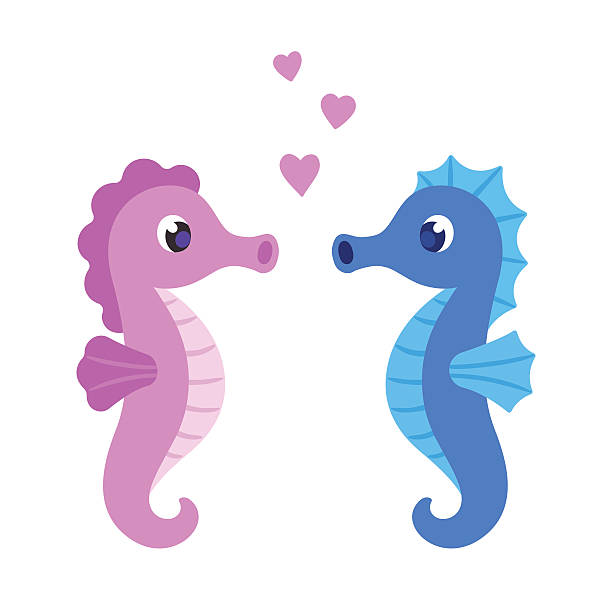 Cute cartoon seahorse couple Cute cartoon seahorse couple. Male and female sea horses with hearts. St. Valentines Day vector greeting card illustration. seahorse stock illustrations