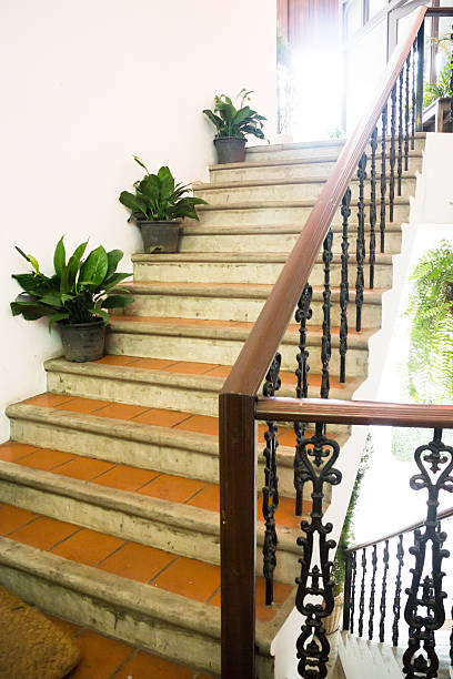 istock Plant pots decorated in stair garden 591435110