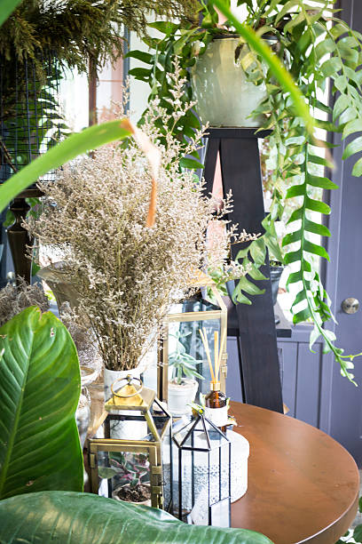 istock Hanging plant pots decorated in garden 591435510