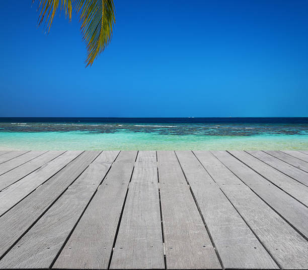istock Wooden terrace beside tropical sea 591436018