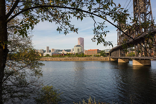 Framed by trees, US Bank Tower and Steel Bridge across the Willamette river