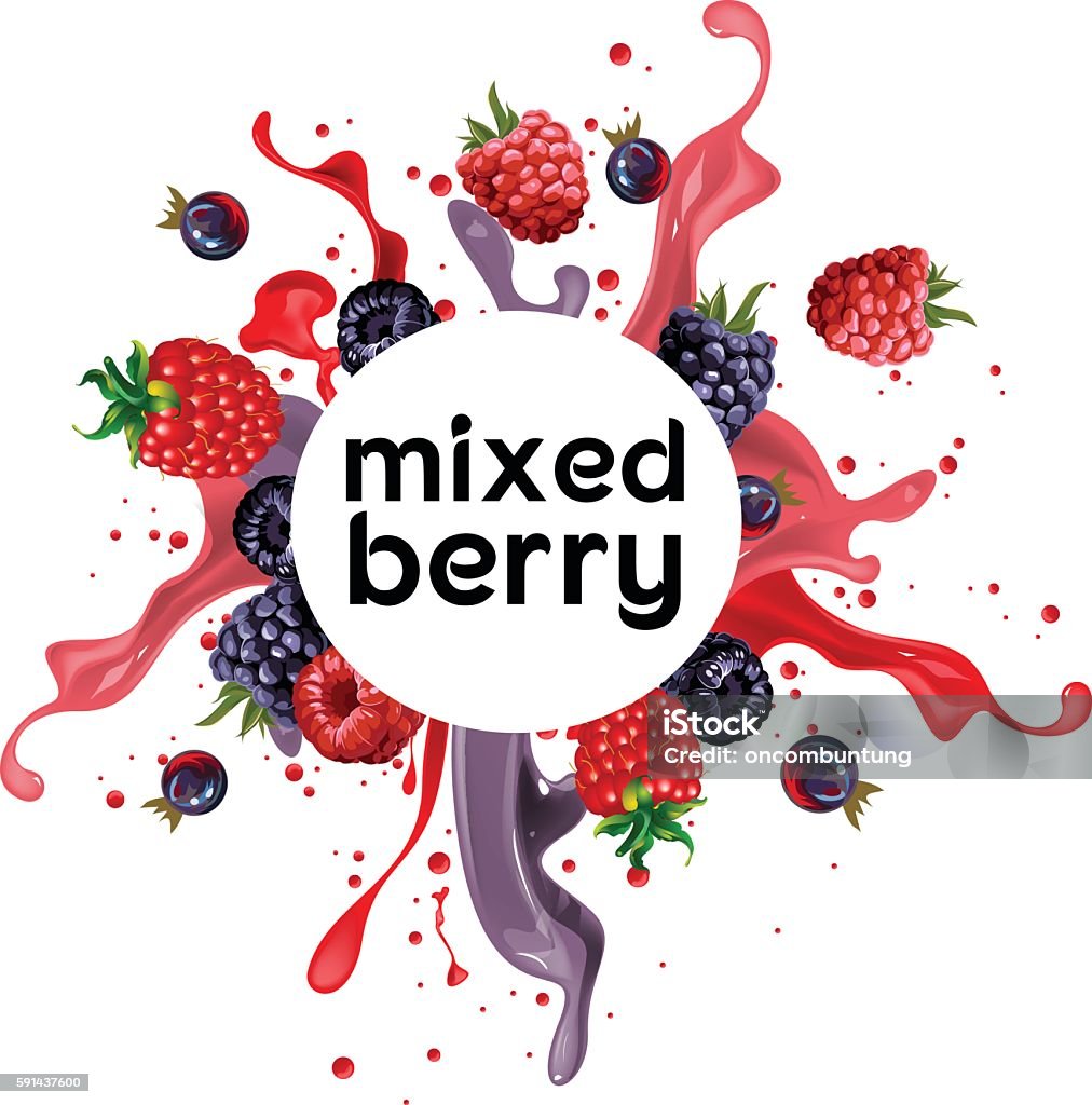 mixed berry punch drink mixed berry such raspberry, blueberry, with splashing water, suitable for drink or beverages. Berry Fruit stock vector