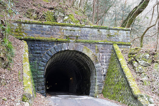 istock Amagisan Zuidou / Old Amagi Tunnel 591438506