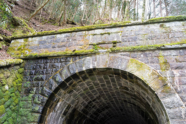 istock Amagisan Zuidou / Old Amagi Tunnel 591438700