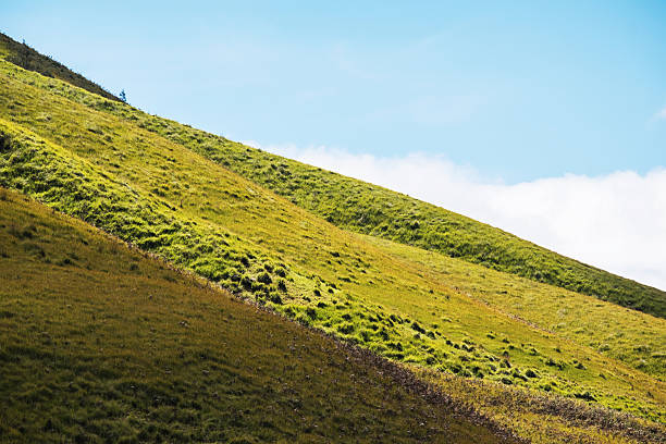 istock Green hill slope landscape with blue sky 591438878