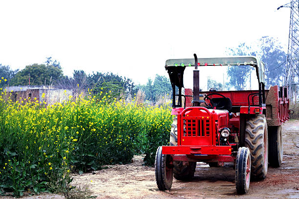 tractor de pie cerca del campo de mostaza - mustard plant mustard field clear sky sky fotografías e imágenes de stock