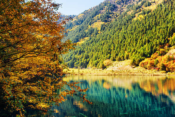 istock Beautiful lake among colorful fall woods and mountains 591442544