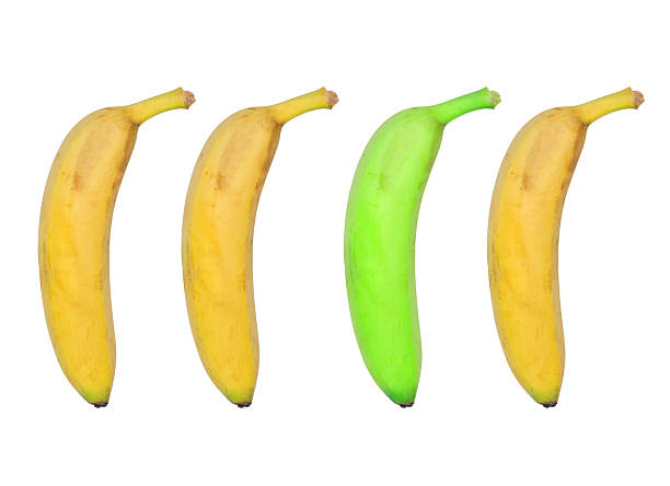 istock The different banana in bananas 591443948