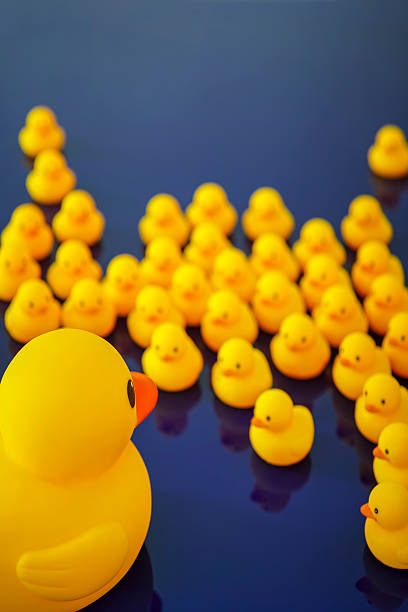 istock Rubber ducks gathering around a large mother duck. 591444000