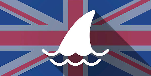 illustrazioni stock, clip art, cartoni animati e icone di tendenza di icona della bandiera del regno unito con una pinna di squalo - spinarolo