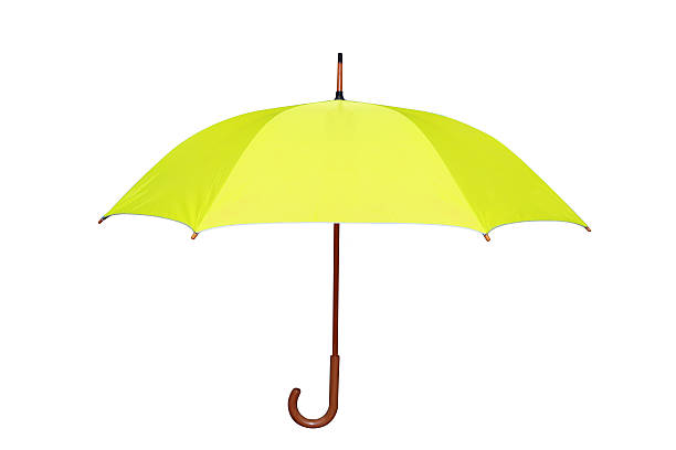 istock yellow umbrella in white background 591445622