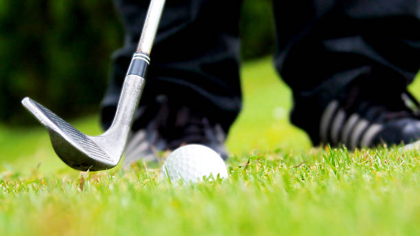 istock Golf club and ball on green grass 591446142