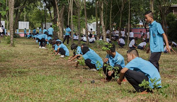 Students and people are planting trees stock photo