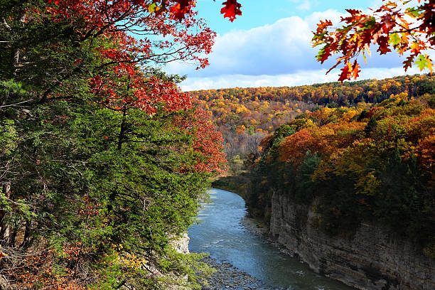 istock Autumn scene of river and forest 591782216